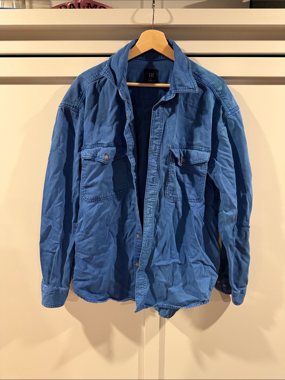GAP Men's Blue Casual Button-Down Shirt